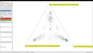 Egyptian_Sensemaker_survey_triad