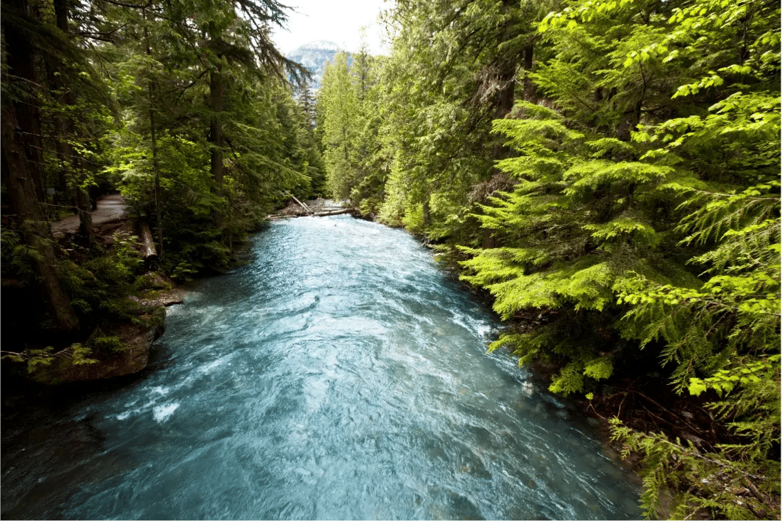 Getting Unstuck A Leaders Guide To Moving Forward In Complex Times (12)