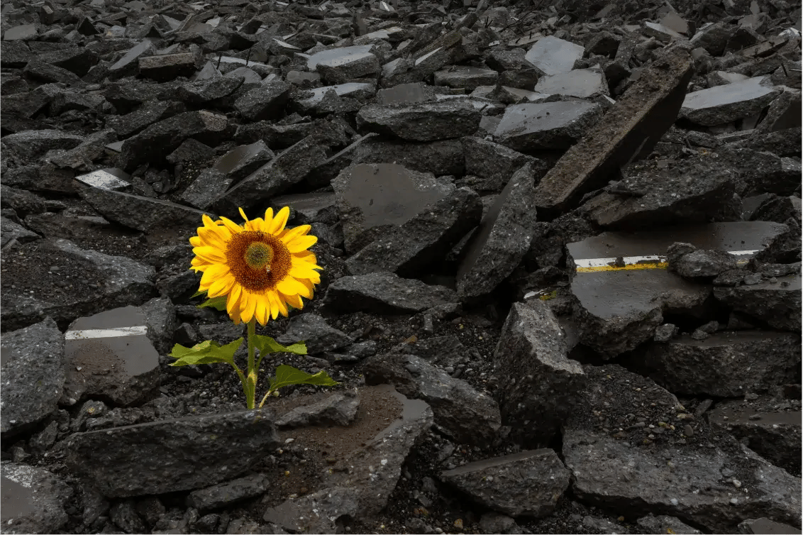 Getting Unstuck A Leaders Guide To Moving Forward In Complex Times (6)